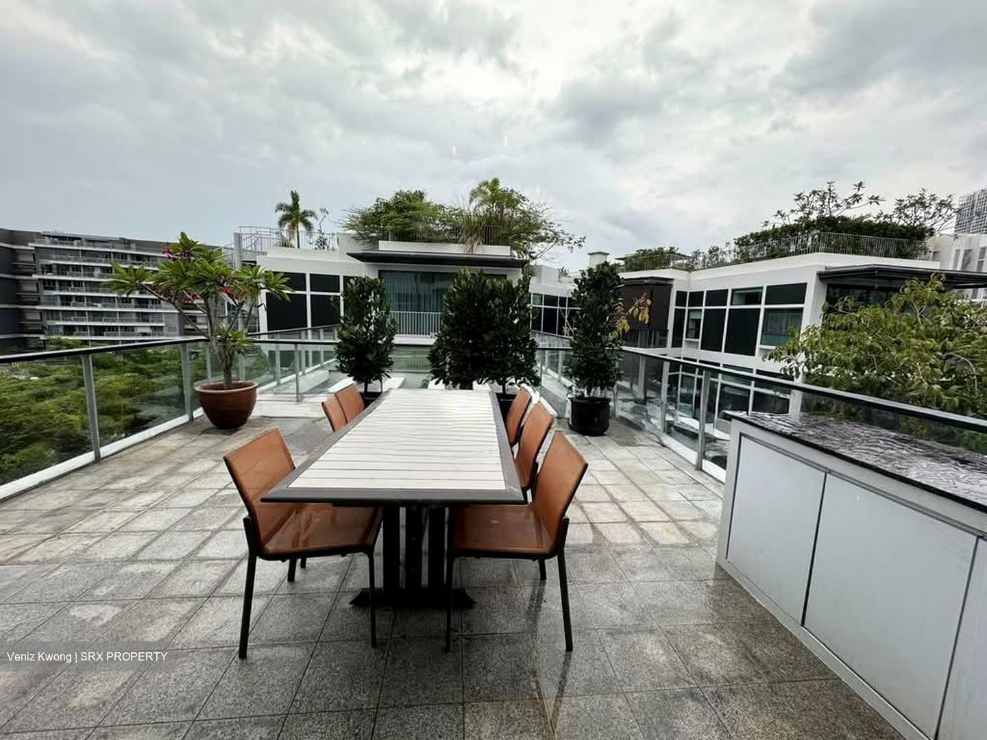 Belle Vue Residences (D9), Condominium #597745131